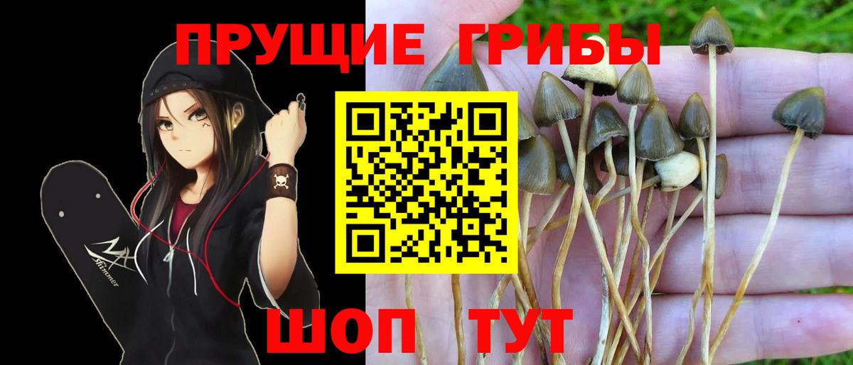 Галлюциногенные грибы ЛСД  Вход с VPN  Севастополь 